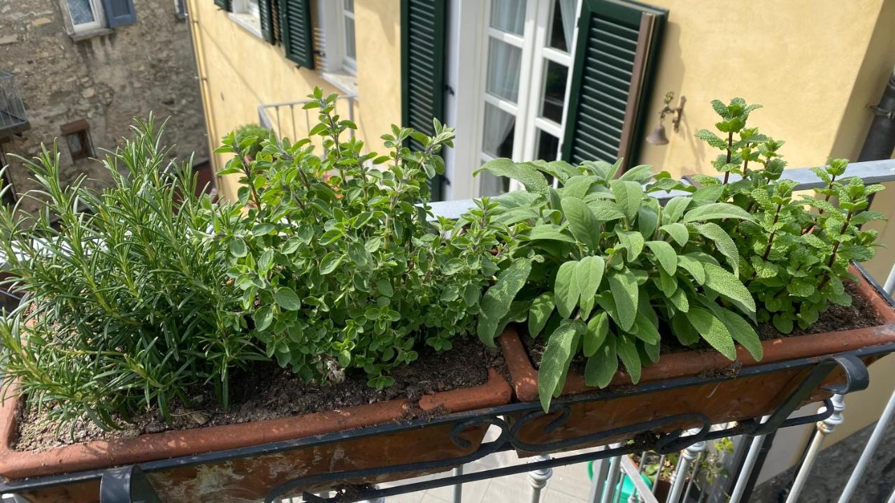 Il Mulino Di Hotel Villa Aurora Nesso Extérieur photo